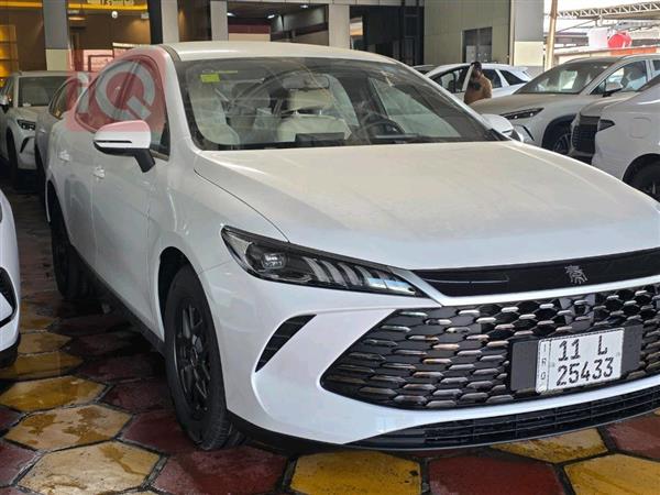 بي واي دي Qin Plus 2025 للبيع في العراق -  بغداد